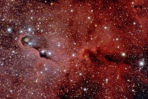 Nebulosa VdB 142 (Proboscide d'elefante)
